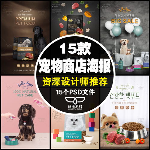 小猫粮小狗粮宠物食品宠物用品宣传广告宠物商店海报PSD分层素材 淘宝网 平面设计